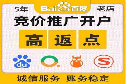 某公司网站sem托管项目纪实